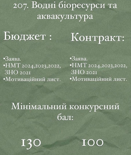 11 3