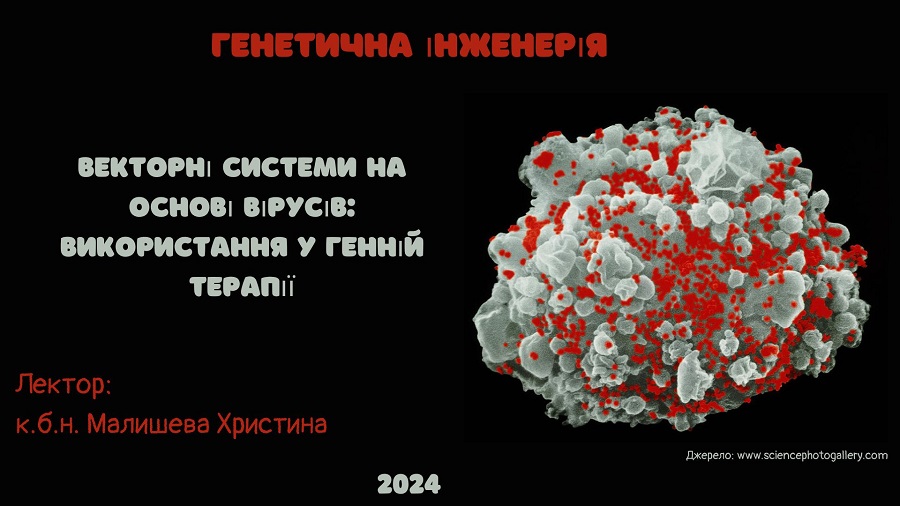 зображення viber 2024 11 24 18 23 10 895