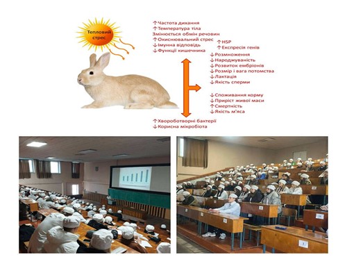 Зображення2