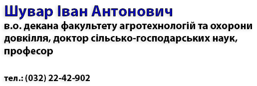 Wyvar text