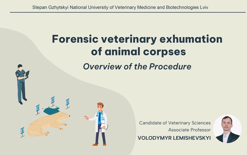 03 Forensic veterinary exhumation