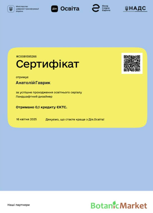 Screenshot 24