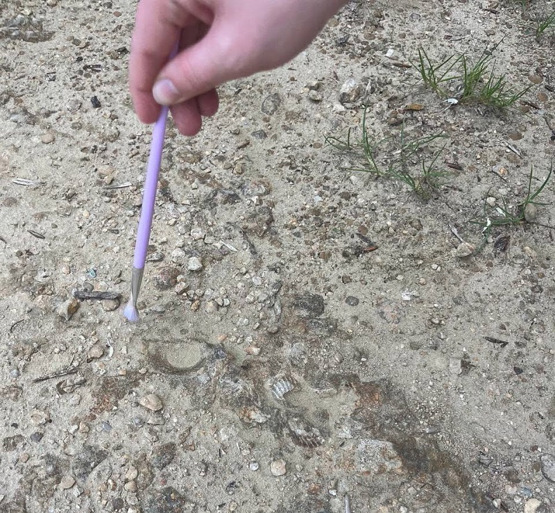 photo 2025 06 09 20 30 27