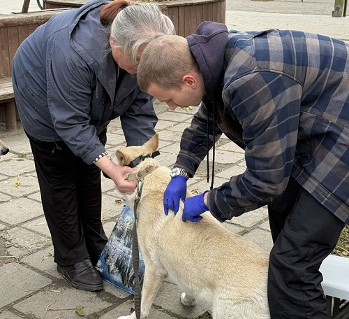 зображення viber 2025 10 30 17 39 56 707