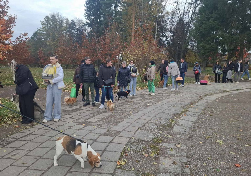 зображення viber 2025 10 30 20 32 02 809