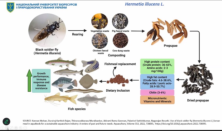 Знімок екрана 2025 12 02 103526