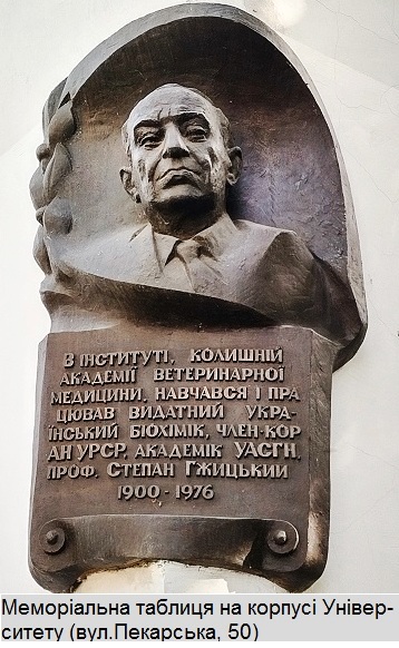 5 6