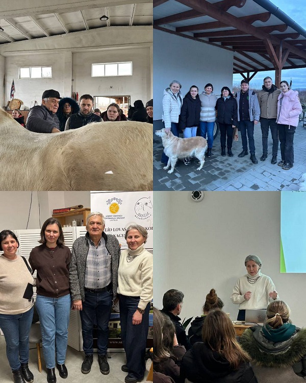 Виноградів 2